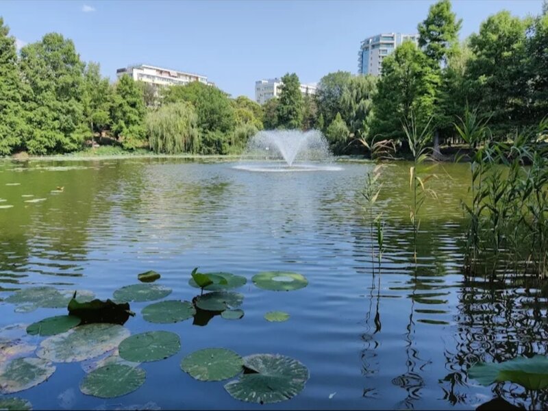 Parcul Circului - Lacul Tei - 15 min Metrou Stefan cel Mare