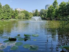 Parcul Circului - Lacul Tei - 15 min Metrou Stefan cel Mare